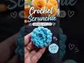 Let's make this beautiful Scrunchie