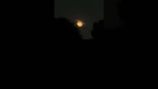 IMG 1692