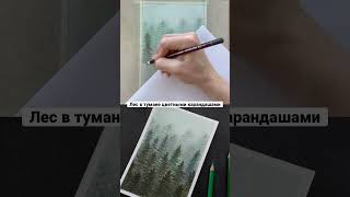 Как нарисовать туманный лес цветными карандашами?