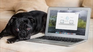 MacKeeper 3.x Update Tracker Tutorial