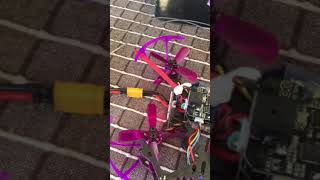 Eachine lizard not binding