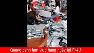 Quang Cảnh Làm Việc Đóng Hàng Và Gửi Bưu Điện - Fit4U.vn