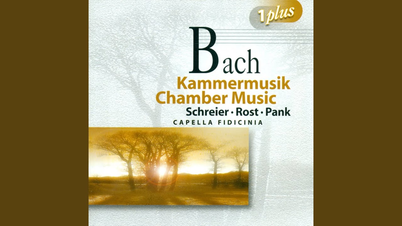 Viola da Gamba Sonata in G Minor, BWV 1029: II. Adagio