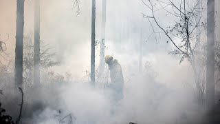 En France, la pluie apporte un léger répit sur le front des incendies • FRANCE 24