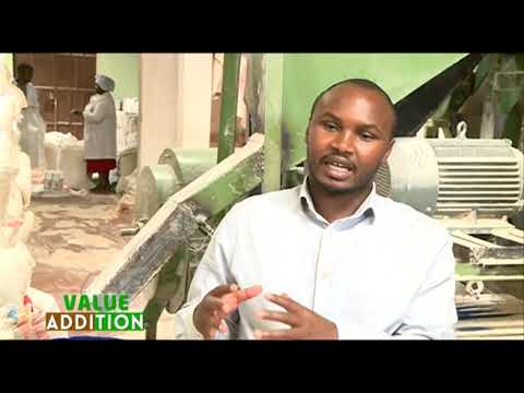 The Maize Milling Business In Kenya