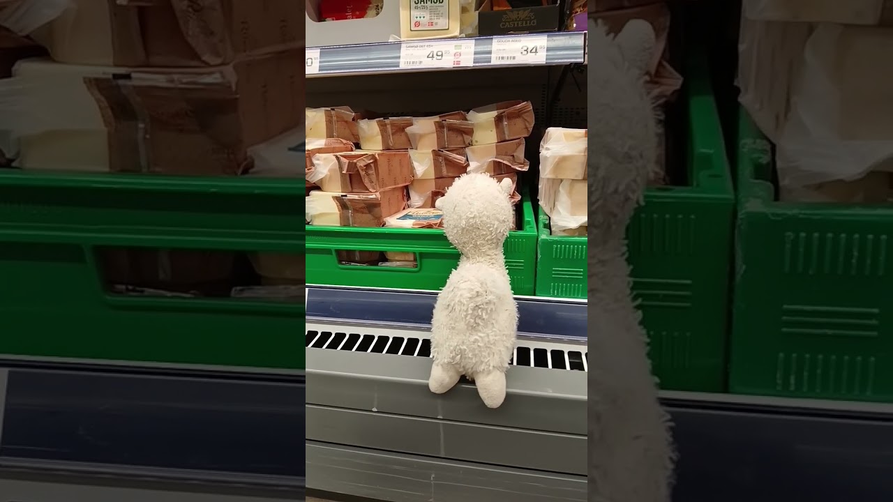 little llama's adventure special: going to the grocery  song credits: 