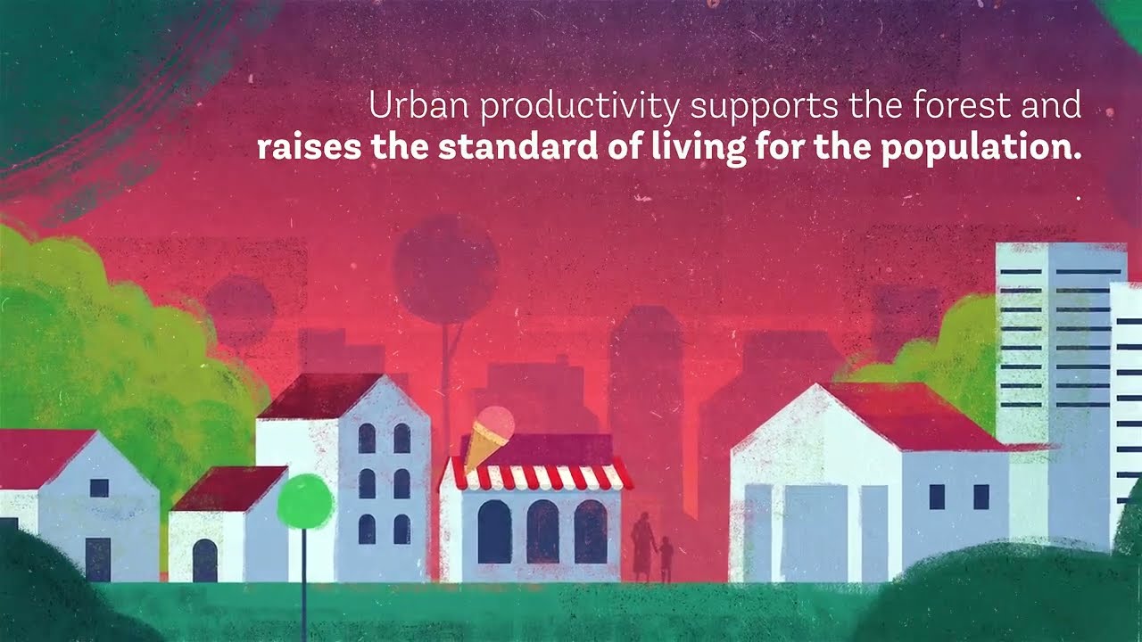 Productive cities are important to reduce deforestation in the Amazon