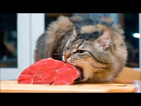 Кокосовый орех: Бомба красоты