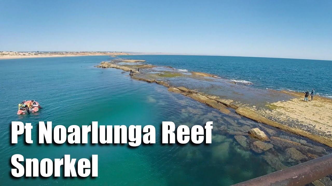 Pt Noarlunga Reef South Australia snorkel YouTube