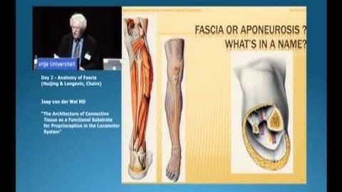 Fluid Tissue - Jaap Van der Wal Architecture of Connective Tissue in the Musculoskeletal System