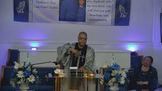 2 Timothy 2:1-13 If We trust in Ourselves, We are doomed to fail