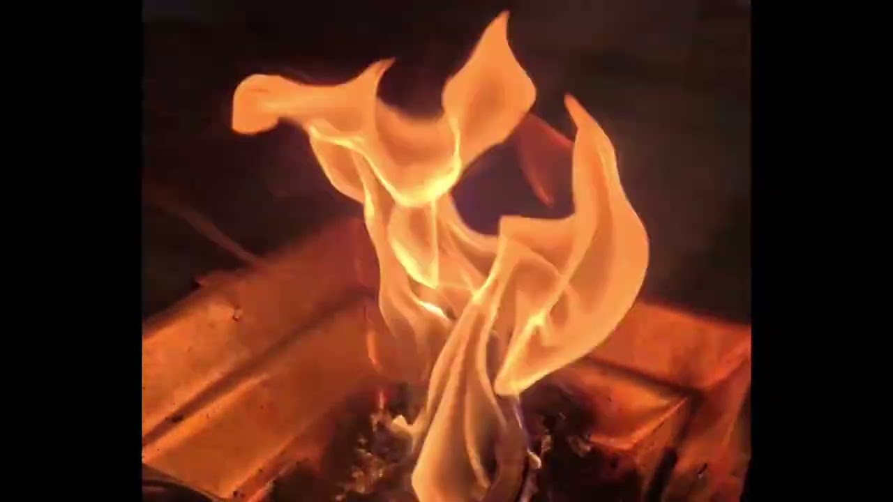 शब्द वाणी (शुक्ल हंस शब्द संख्या 67) Jay Gurudev 🙏🚩  #bishnoi #jambheswer_bhajan #nature #guruwani