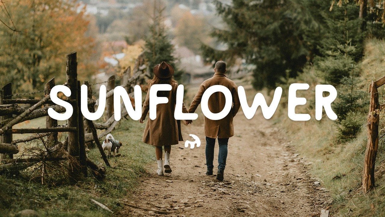 Amber Run - Sunflower