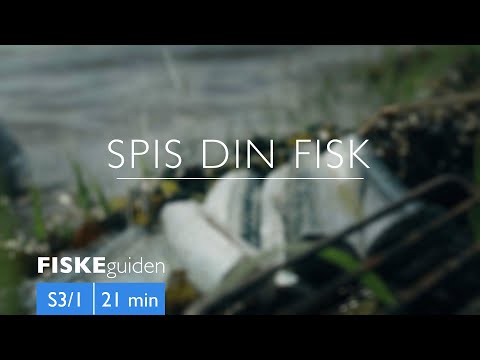 Video: Gasboblesygdom I Fisk