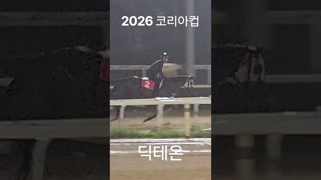 2026 코리아컵 8월 31일 #KoreaCup #딕테온 #Diktaean #ディクテオン #선데이펀데이 #サンデーファンデー #SundayFunday