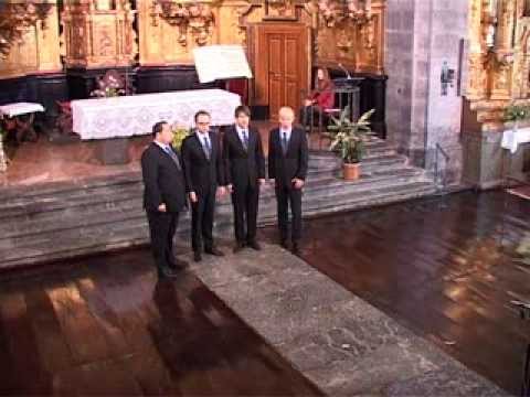 QUAE EST ISTA II, Vic Nees - QUARTONAL
