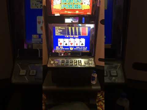 Casino Arizona Autumn Moon Free Spin Bonus! First Spin Win!
