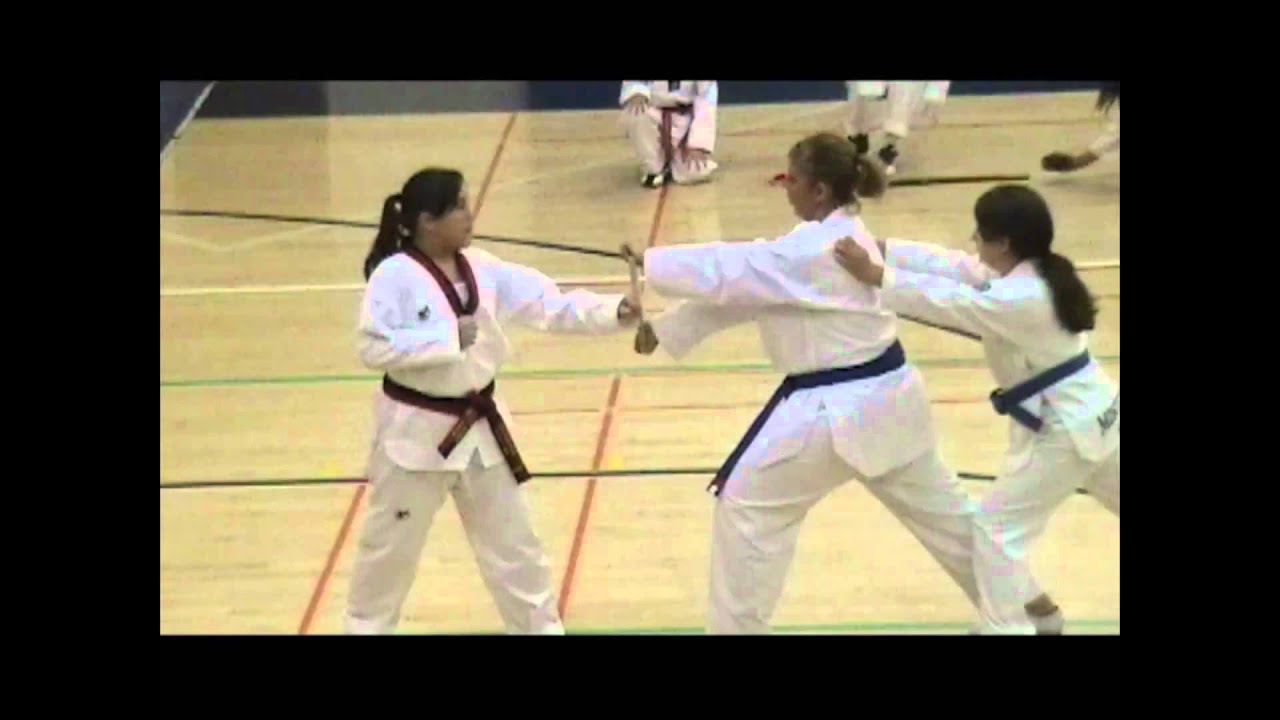 Monticello Academy TKD Demo in Honor of Fukuda Sensai