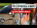 Катаклизмы за день 22 октября 2020 ! Пульс Земли ! в мире ! событие дня ! Лесной пожар в Колорадо