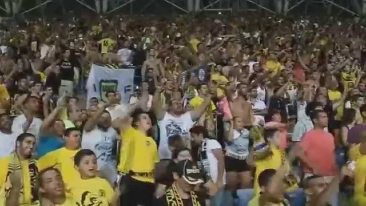 אוהדי בית''ר - 