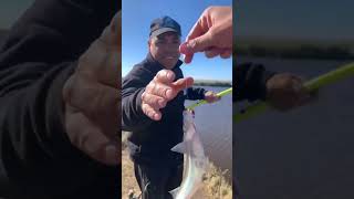 pesca de pejerrey en canal 2