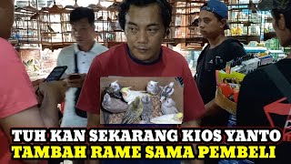 UPDATE HARGA BURUNG TERBARU HARI INI DIKIOS KANG YANTO PASAR BURUNG PRAMUKA