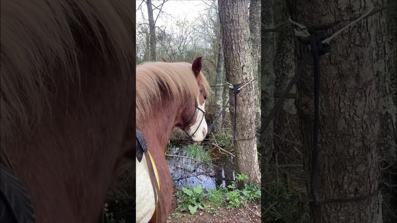 Les rendez-vous du Lundi - Vlog10