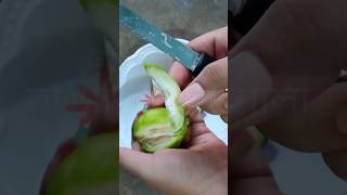 মখ জল আনর মত বলত আমড মখ I Biliti Amra Makha Recipe