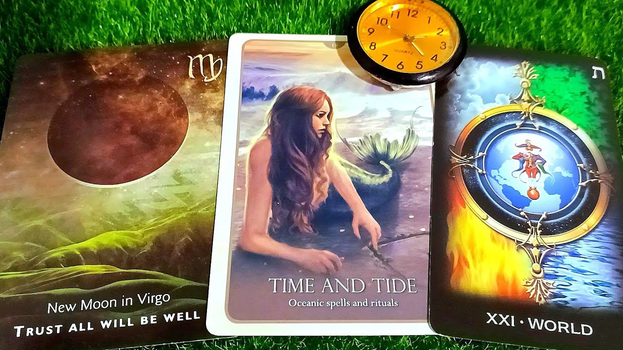 Lên Xe Nào 🚘 Đi Hái TRÁI NGỌT🥭 Cạp Cạp🌝😆(*´・з・)(≧ヘ≦　)🪭