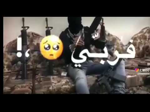 اغنية الذيب يظله ذيب صورة سلاح 
