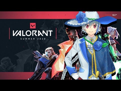 【ヴァロラント】久しぶりの配信～配信の仕方忘れた~【vtuber】