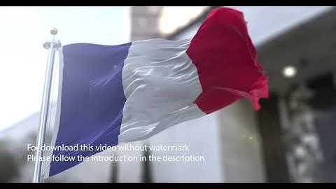 France flag with 3d effect blowing in the wind 3D Flag V2 long
