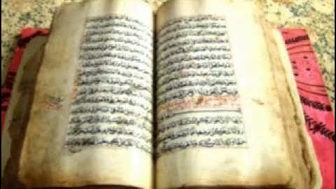 محمد شوكت سورة هود