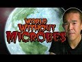 Ref:80tPR5HH9Zo A world without microbes: an apocalyptic thought experiment | i contain multitudes