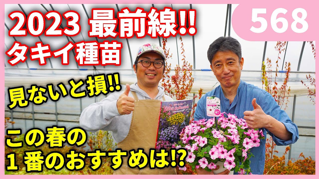 【人気種子】まとめ売り Spring/Summer 2023 Takii Seeds Recommended Varieties [Part 1