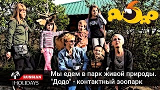 Развлечения для детей в парке живой природы &quot;Додо&quot;. Мир животных в контактном зоопарке