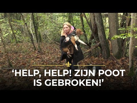 Video: Gebroken Botten Bij Honden - Gebroken Botten Bij Honden