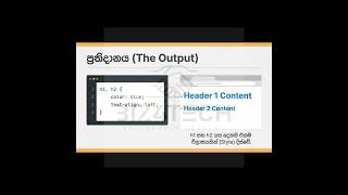 A/L ICT 2021 MCQ 46 | Full Paper Discussion Sinhala | Advanced Level ICT Exam Answers