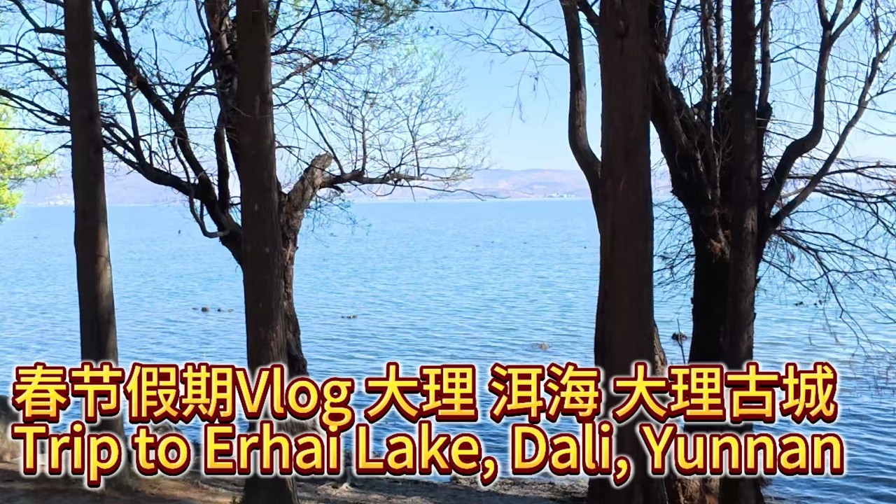 旅行Vlog｜云南之旅 大理古城 洱海 Trip to Erhai Lake, Dali, Yunnan