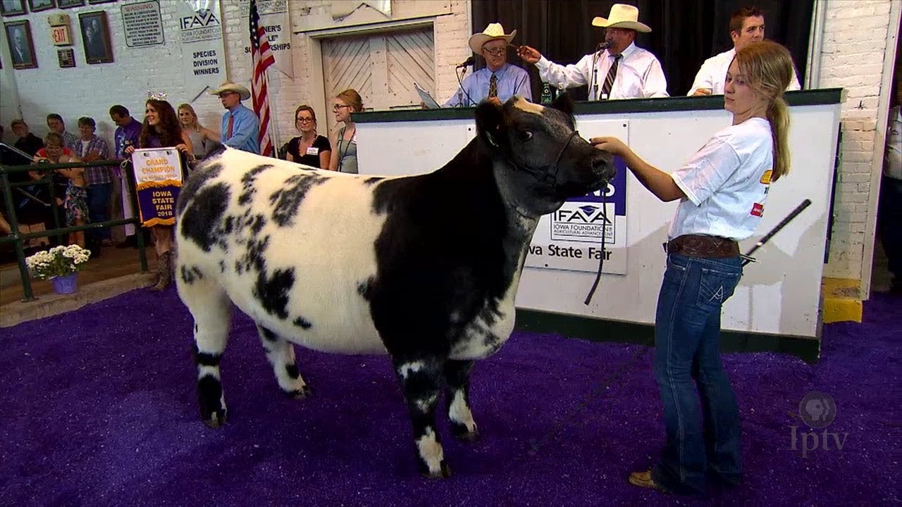 4H and FFA Sale of Champions