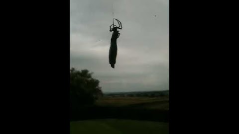 Spider wraps up butterfly to save it for later