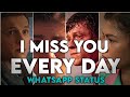 I miss you every day whatsapp status in tamil ll dhee editing