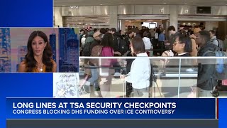 30 percent of JFK Airport TSA agents call out sick on Tuesday