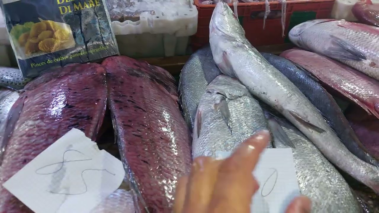 تبارك الله الحوت رخيص واعر..كولشي مجود..2025...8...27...برطجييييي