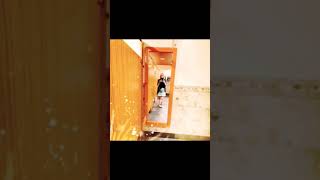 The Best Of New Shorts S Portmaitlanddolly - Best Shorts S 2023. Resimi