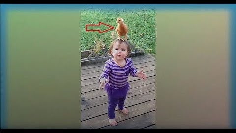 Funny videos  - Algorithmic Boost Request - 2000000 #YTBoostRequest