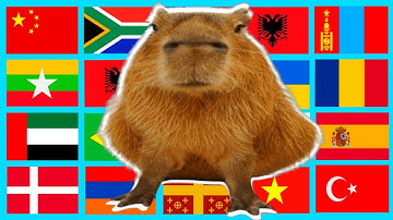 Ok I Pull Up Capybara in different languages meme lemon mix