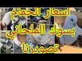 تصوير سوق الحمام بلملحاني انواع الطيور واسعارها وطبكت العنابر سره 
