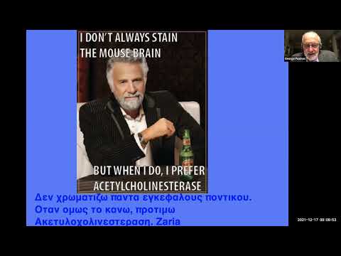 Brain and Mind: Who is the Puppet and who the Puppeteer? recording thumbnail