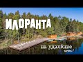 Илоранта на удалёнке часть 1